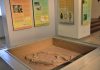 Salahsatu sudut ruang pamer di Museum Nasional yang membahas tentang situs Gilimanuk