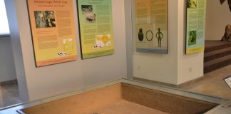 Salahsatu sudut ruang pamer di Museum Nasional yang membahas tentang situs Gilimanuk